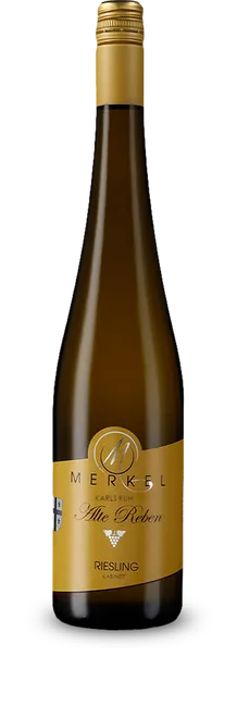 Riesling Kabinett Alte Reben Bio feinherb 2021