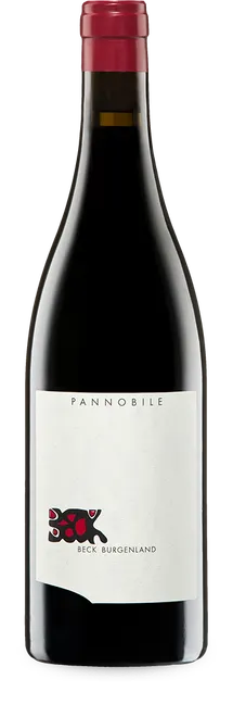Pannobile 2017