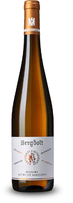 Duttweiler Mandelberg Riesling VDP.Erste Lage Bio trocken 2023