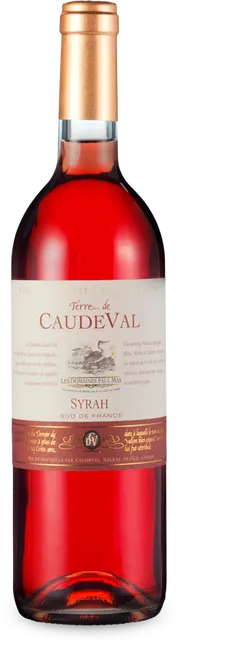Terre de CaudeVal Rosé de Syrah 2024
