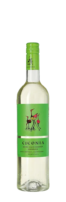 Ciconia Branco 2024