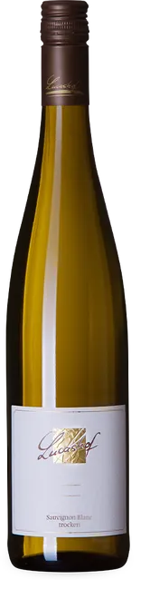 Sauvignon Blanc trocken 2025
