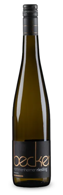 Mommenheimer Riesling trocken 2025