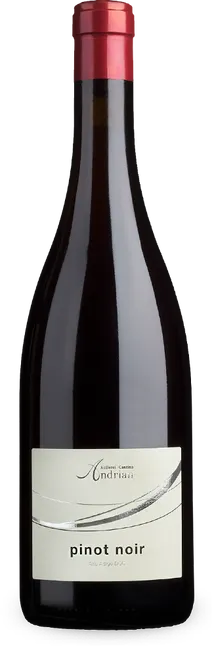 Pinot Noir 2025
