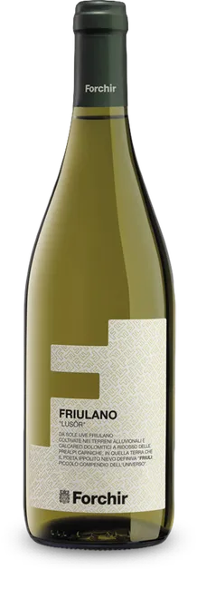 Friulano Famiglia Bianchini 2025