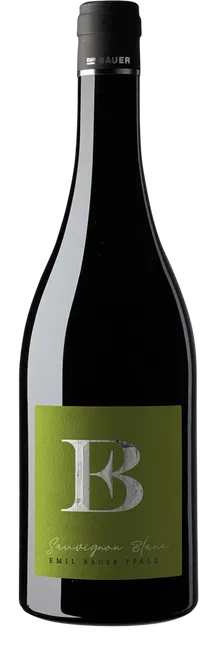 Sauvignon Blanc Nussdorf 2025