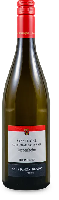 Sauvignon Blanc trocken 2025